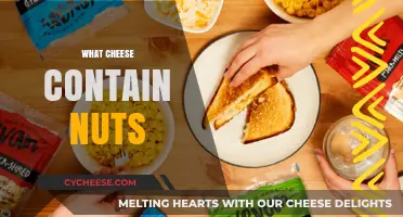 Cheese and Nut Allergies: Which Varieties Contain Hidden Nut Ingredients?