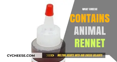 Animal Rennet in Cheese: Which Varieties Contain This Enzyme?