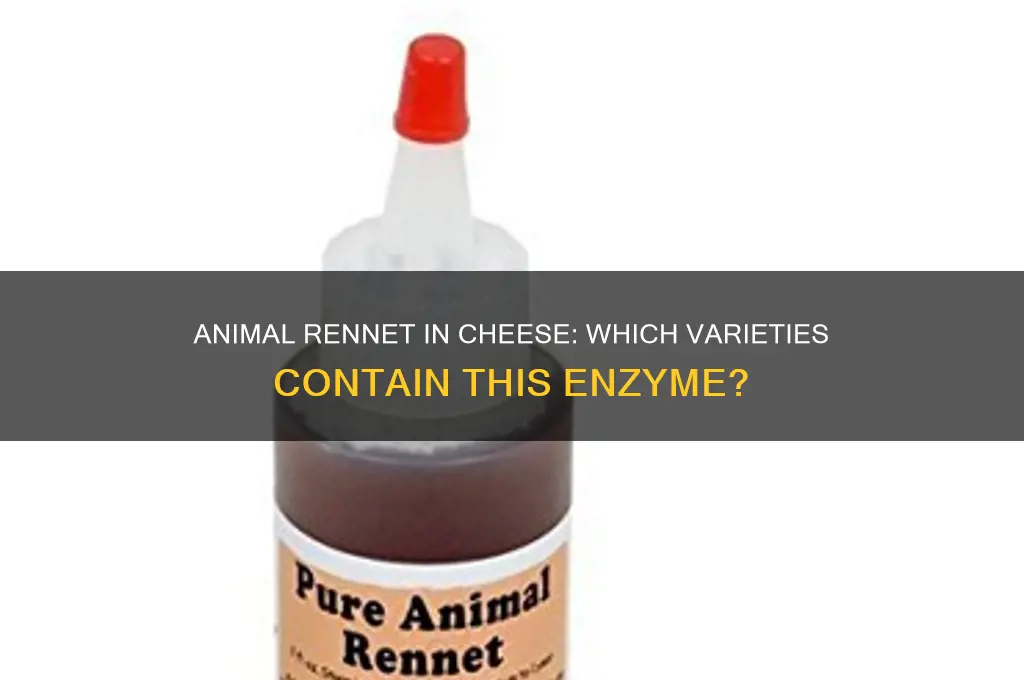 what cheese contains animal rennet