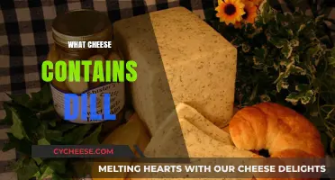 Dill-icious Discovery: Which Cheeses Feature Dill as a Key Ingredient?