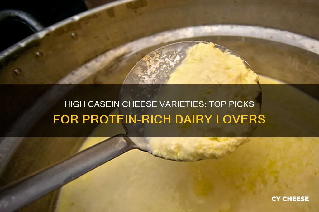 what cheese contains high levels of casein protein