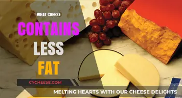 Low-Fat Cheese Options: Healthier Choices for Your Diet