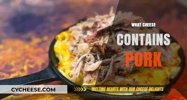 Cheese and Pork: Uncovering Hidden Ingredients in Your Favorite Cheeses