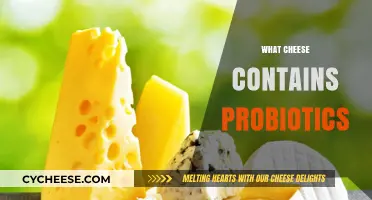 Probiotic-Rich Cheeses: Unveiling Dairy Delights for Gut Health Benefits