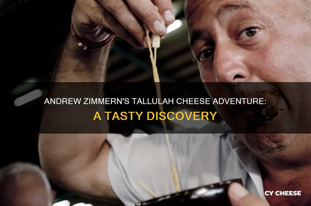 what cheese did andrew zimmern try at tallulah