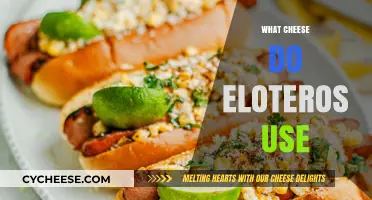 The Cheesy Truth: Eloteros' Favorite Cheese Revealed