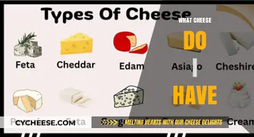 Identifying Your Cheese: A Quick Guide to What’s in Your Fridge
