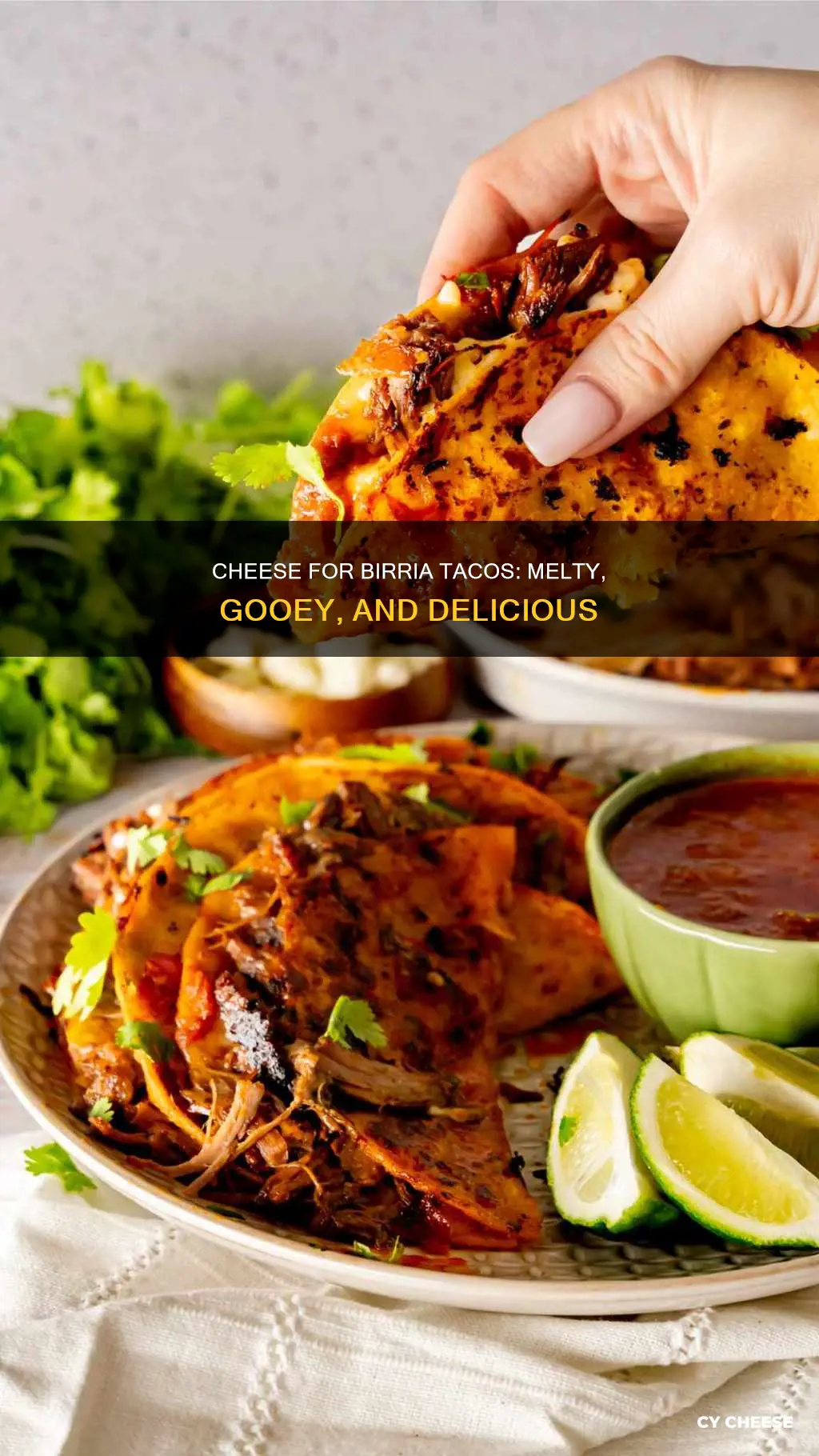 what cheese do i use for birria tacos