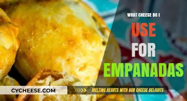 Cheese for Empanadas: Mozzarella, Cheddar, or Something Else?