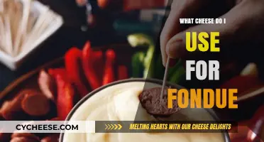 Cheese Fondue: The Best Melting Varieties