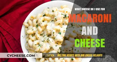 The Best Cheeses for a Delicious Mac and Cheese