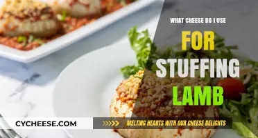 Cheese and Lamb: The Perfect Pairing for Your Next Feast