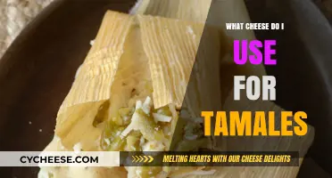 Cheese for Tamales: Choosing the Right One