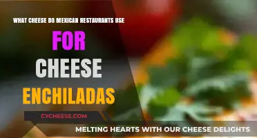 Cheese Enchiladas: Mexican Restaurants' Favorite Cheeses
