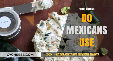 Cheese in Mexican Cuisine: Exploring the Varieties