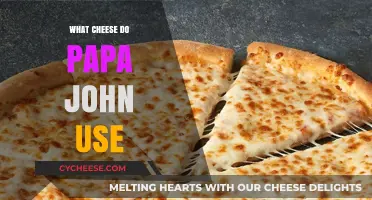 Papa John's Cheese: What's the Secret?