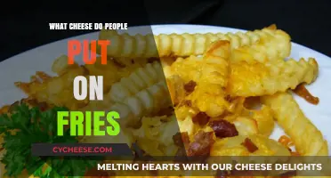 Cheese and Fries: The Perfect Pairing