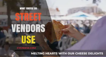 Street Vendors' Favorite Cheeses: A Guide