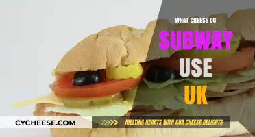 Cheese Choices: Subway's UK Menu