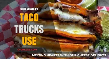 Tasty Truck Treats: What's the Cheese on Tacos?