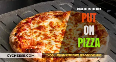 Cheese and Pizza: The Perfect Melty Combination