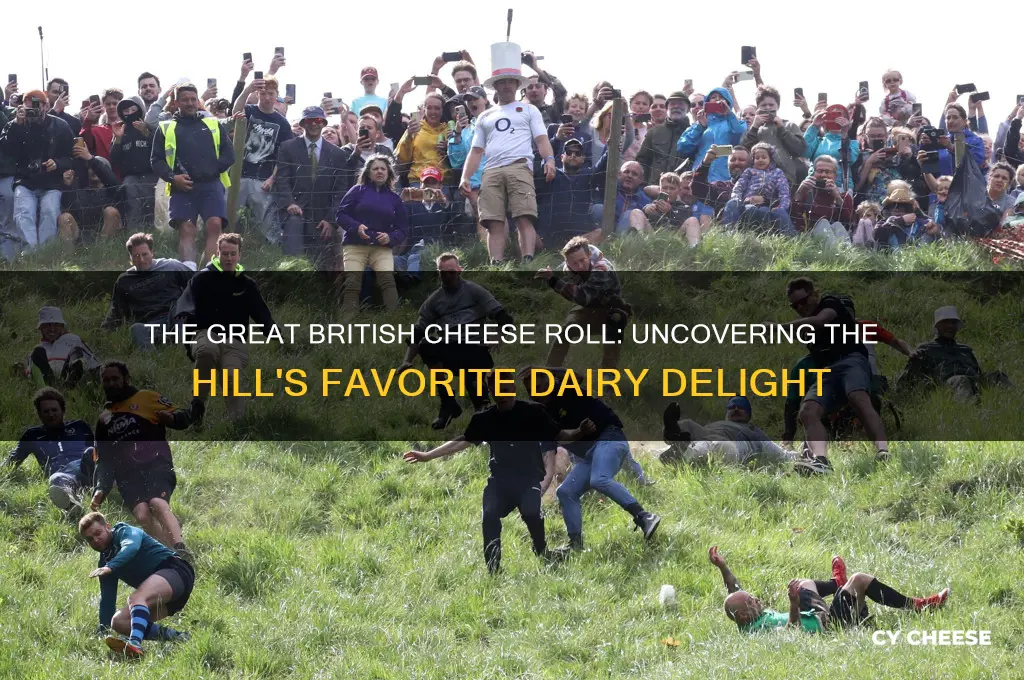 what cheese do they roll down the hill