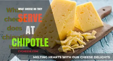 Chipotle's Cheese: The Ultimate Guide