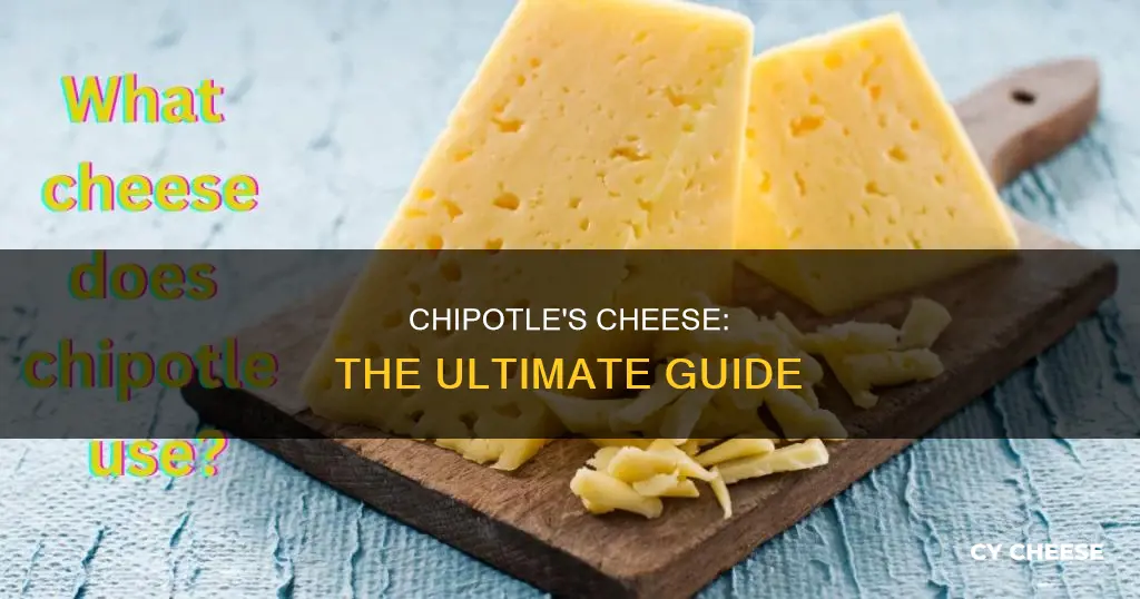 what cheese do they serve at chipotle