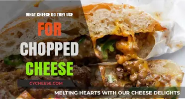 The Best Cheese for Chopped Cheese Sandwiches