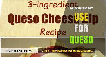 Cheese for Queso: The Ultimate Guide