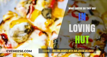 Vegan Cheese Secrets of Loving Hut