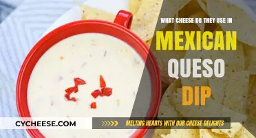 Cheese Pull: Mexican Queso Dip