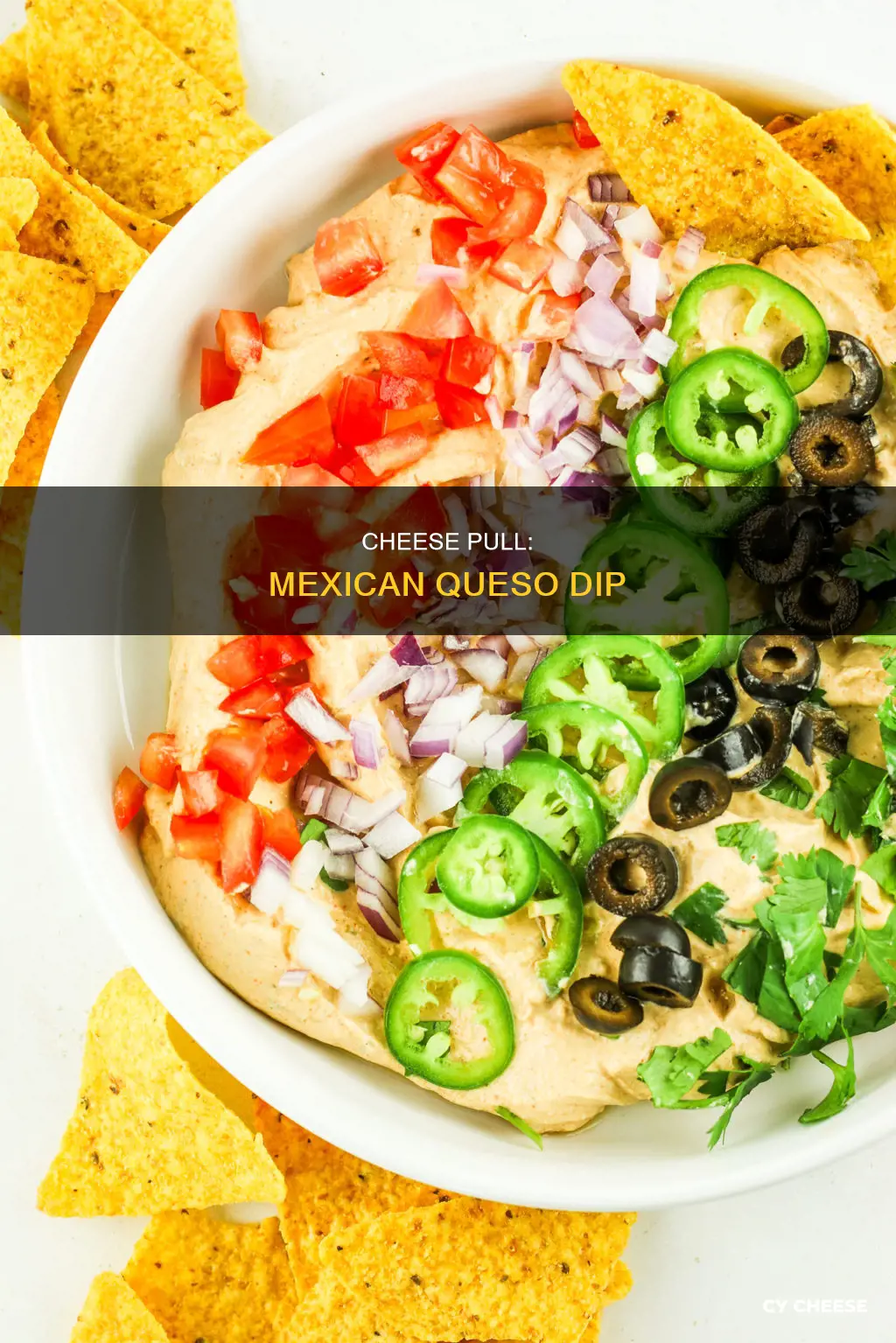 what cheese do they use in mexican queso dip