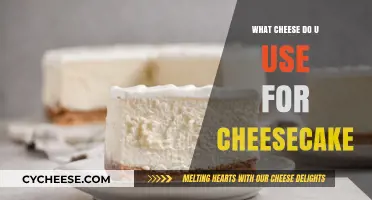 The Cheesecake Conundrum: Which Cheese is Best?