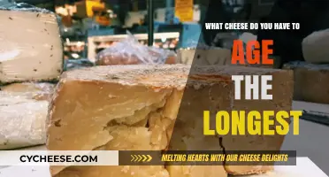 The World’s Longest-Aged Cheeses: A Tasty Time Capsule