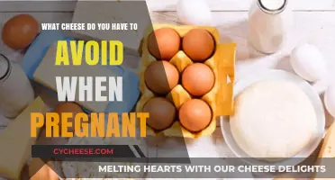 Pregnancy and Cheese: Which Varieties to Avoid for a Healthy Baby