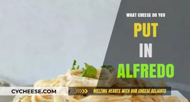The Best Cheeses for a Hearty Alfredo Sauce