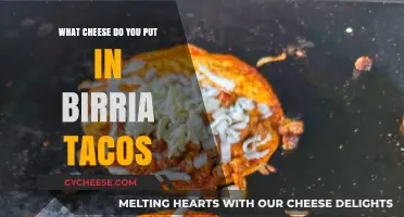 Birria Tacos: What Cheese Melts Best?