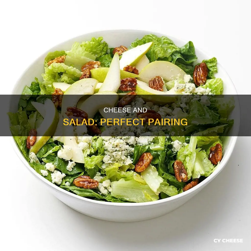 what cheese do you put in salad