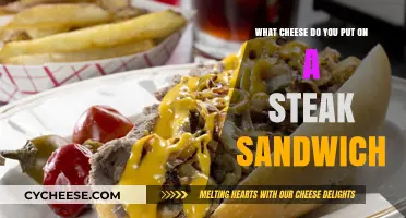 The Perfect Cheese for a Steak Sandwich