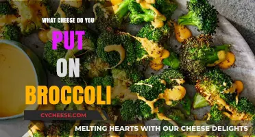 Best Cheeses to Pair with Broccoli