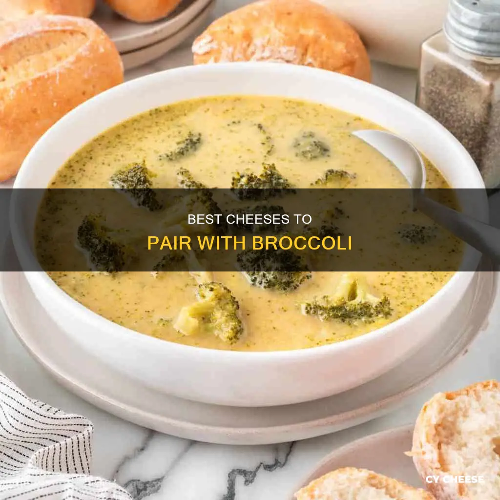 what cheese do you put on broccoli