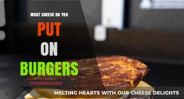 The Ultimate Cheesy Burger Guide