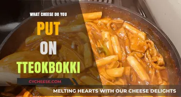 The Best Cheeses to Enhance Your Tteokbokki