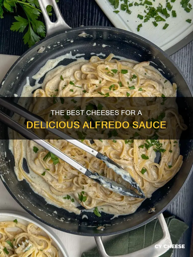 what cheese do you use for alfredo