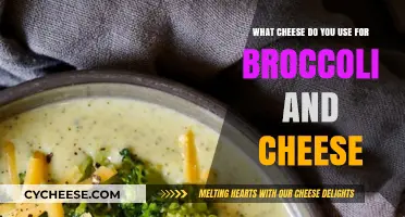 The Best Cheeses to Pair with Broccoli