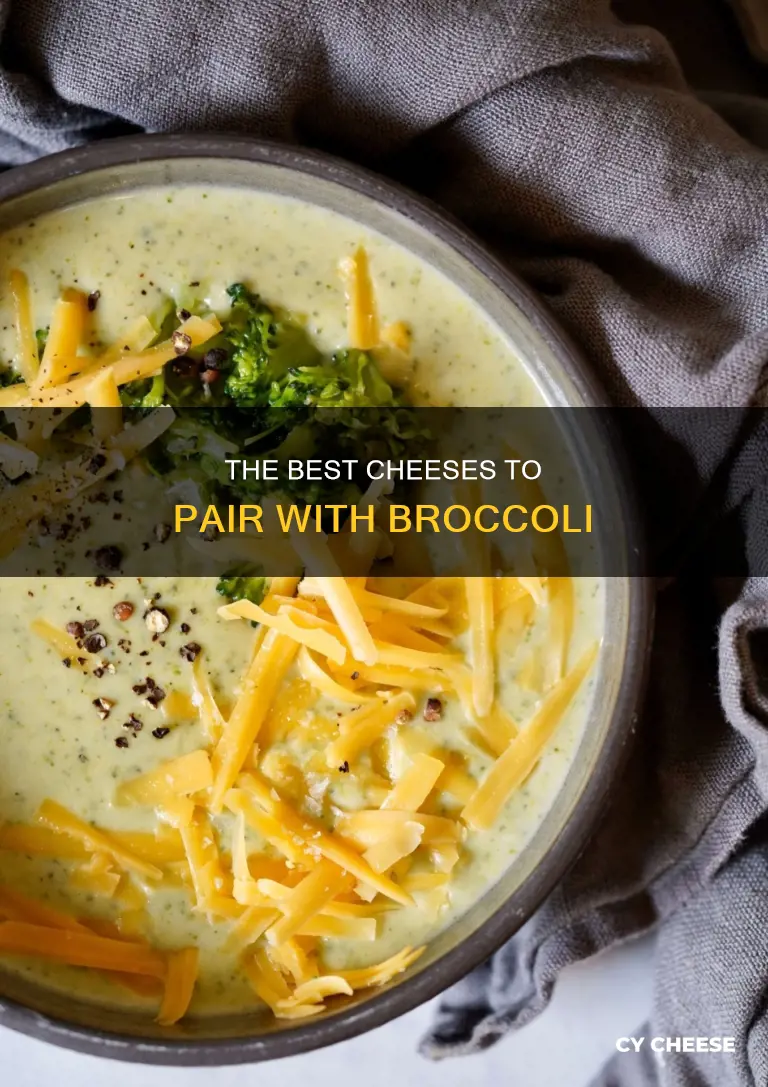 what cheese do you use for broccoli and cheese