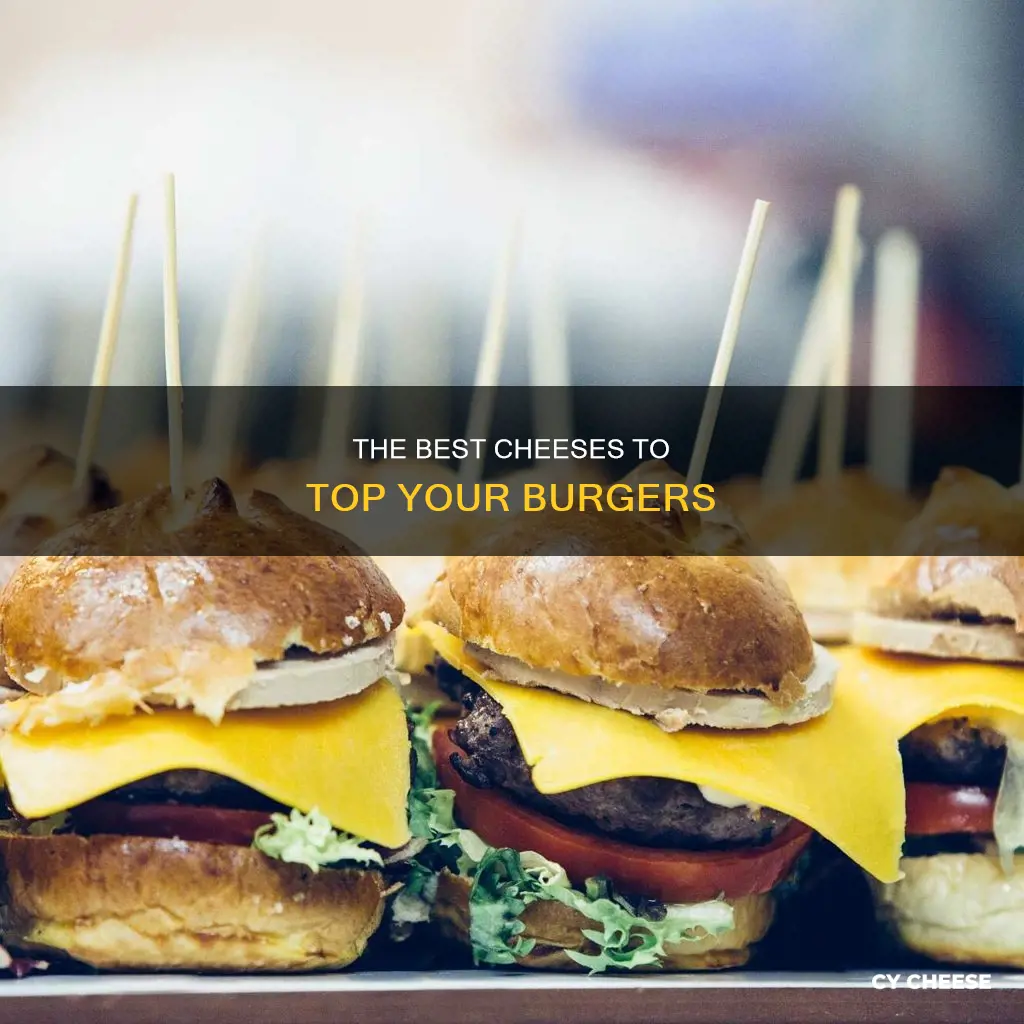 what cheese do you use for burgers