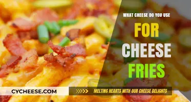 Cheese Fries: Choosing the Perfect Cheese