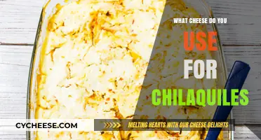 Cheese Options for Chilaquiles: The Best Melts